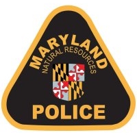 MSP badge logo