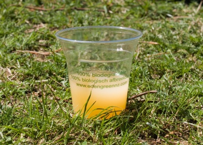 A cup made from PLA, plastic made from cornstarch. (Photo: Bec, courtesy Flickr)