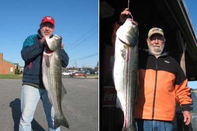 Left: Stephen Bernard gat this 42 inch, 25 pound rock at Point No Point Monday morning. Right: Bill Beardslee trolled just east of Point No Point to catch this beauty Monday morning.