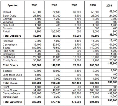 The Maryland Midwinter Waterfowl Survey numbers from 2005 to 2009. Click to enlarge. (Source: Md. DNR)