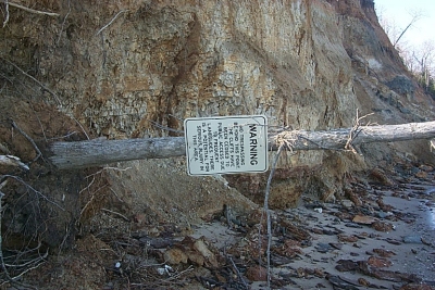 This file photo from Winter 2002 at Calvert Cliffs State Park shows a fallen tree that supports a sign warning not to wander further because of frequent landslides. (Photo: David Noss)