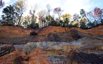 The cliffs are composed of layers of sand, clay and prehistoric fossils. Some parts of the cliffs are sandier than others, and they have the highest erosion rates. (Photo: Laura L. Thornton)