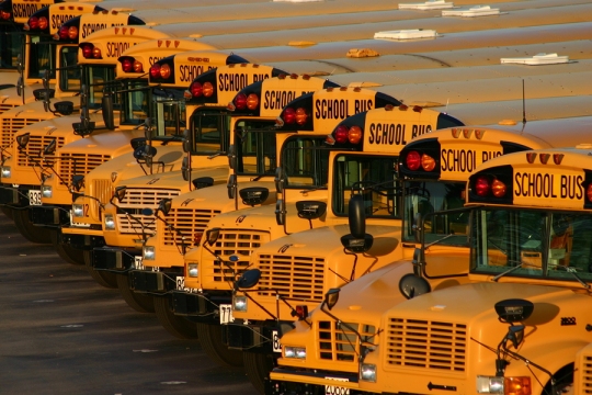 School buses lined up in a parking lot.