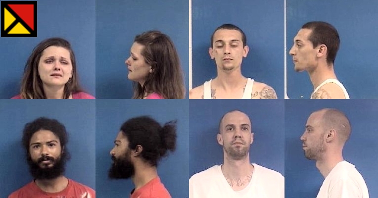 Clockwise from top left: Erica J. Cox, 23, of Chesapeake Beach; Matthew T. Brann, 25, of Mechanicsville; Ryan L. Ogle, 32, of Lothian; and Nelson G. Peresta, 24, of Owings.
