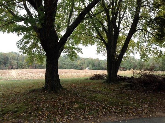 Overlooking the new elementary school site. (Photo courtesy SMCPS)