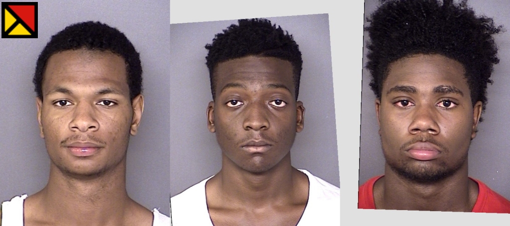 Jelonnie Dujuan Johnson, age 19; Christian Jamal White, age 20; and Jelonnie Dujuan Johnson, age 19; all of Waldorf, Md. (Booking photos SMCSO)