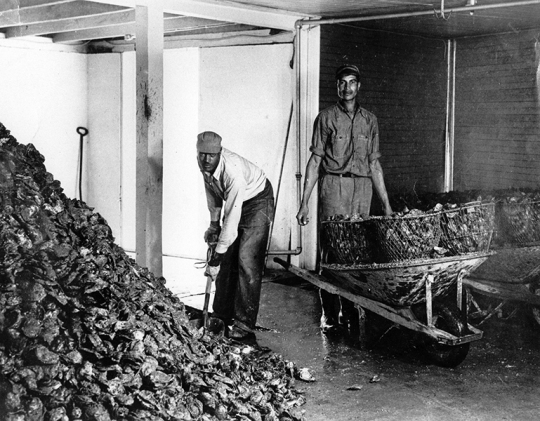 Historic photo from the Lore Oyster House on Solomons.