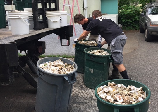 Two "Oyster Police" collect oyster shells for recycling. (Photo courtesy The Oyster Recovery Partnership)