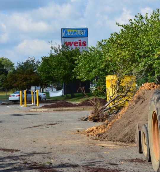 Weis Markets agrees to buy 38 Food Lion stores