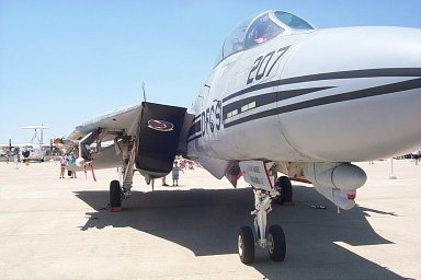 F-14_Tomcat-1.jpg (20638 bytes)