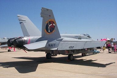 FA-18_Hornet-1.jpg (20182 bytes)