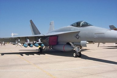FA-18_Hornet-3.jpg (17709 bytes)