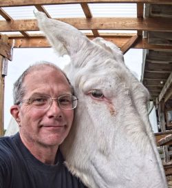 Click to see full size photo