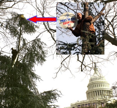 SWAT team members attempt to remove the protester, identified by Capitol Police as Rives Grogan, from the tree during Monday's inaugural ceremony. (Photos: Sean Henderson)