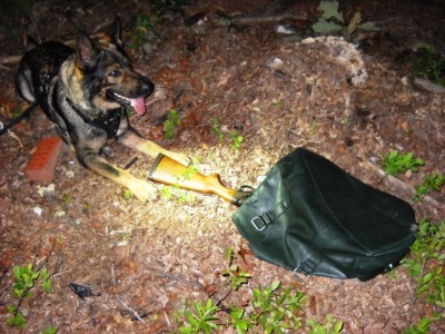 K-9 Brix poses with a stolen shotgun he recovered. (Photo: CCSO)