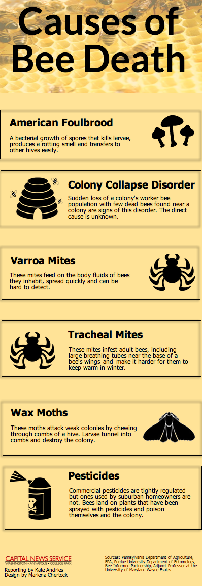 Causes of Bee Death graphic.