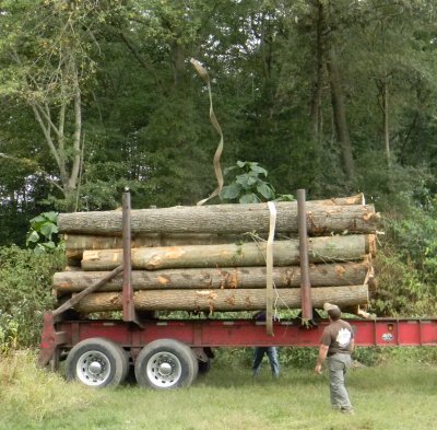 Robert Beale and a trucker strap down a full load of wood to transport to a nearby Amish mill. (Photo: Max Bennett)