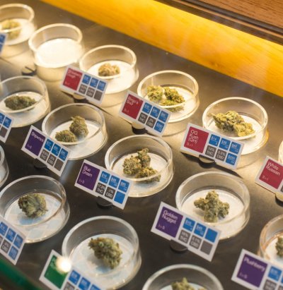 Cannabis buds with potency testing results on display at a dispensary. (Photo: Sonya Yruel/Drug Policy Alliance.)
