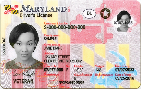 A detailed view of Maryland's new driver's license.