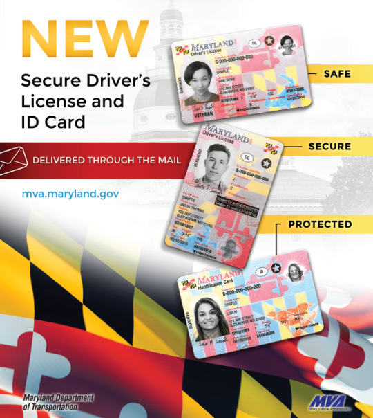An infographic for Maryland's new driver's license.