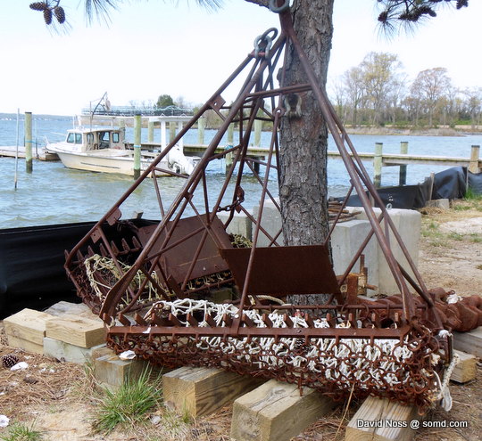 An oyster dredge sitting on the shoreline at the Patuxent Seafood Co., Broomes Island, Calvert Co.