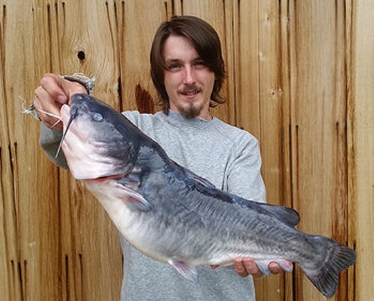 Jacob Vosburgh, 20, of Lexington Park, caught the fish recorded at 8.27 pounds June 1 in the lower Potomac River. The white catfish was 23 inches in length.