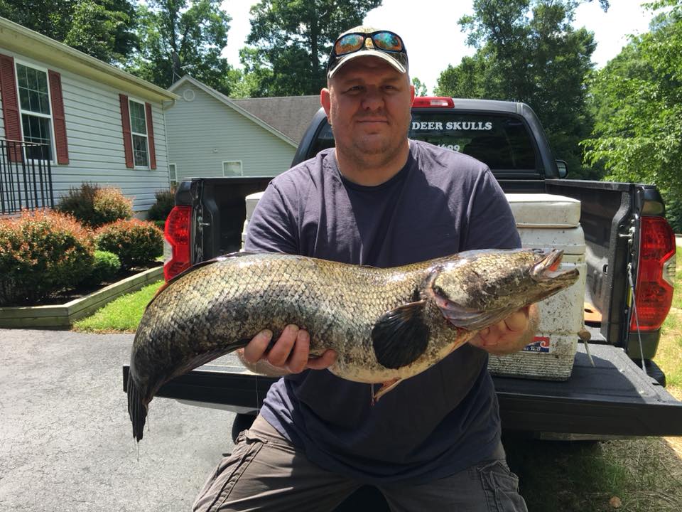 Andy Fox with his record-breaking northern snakehead. (Photo via Maryland Department of Natural Resources)