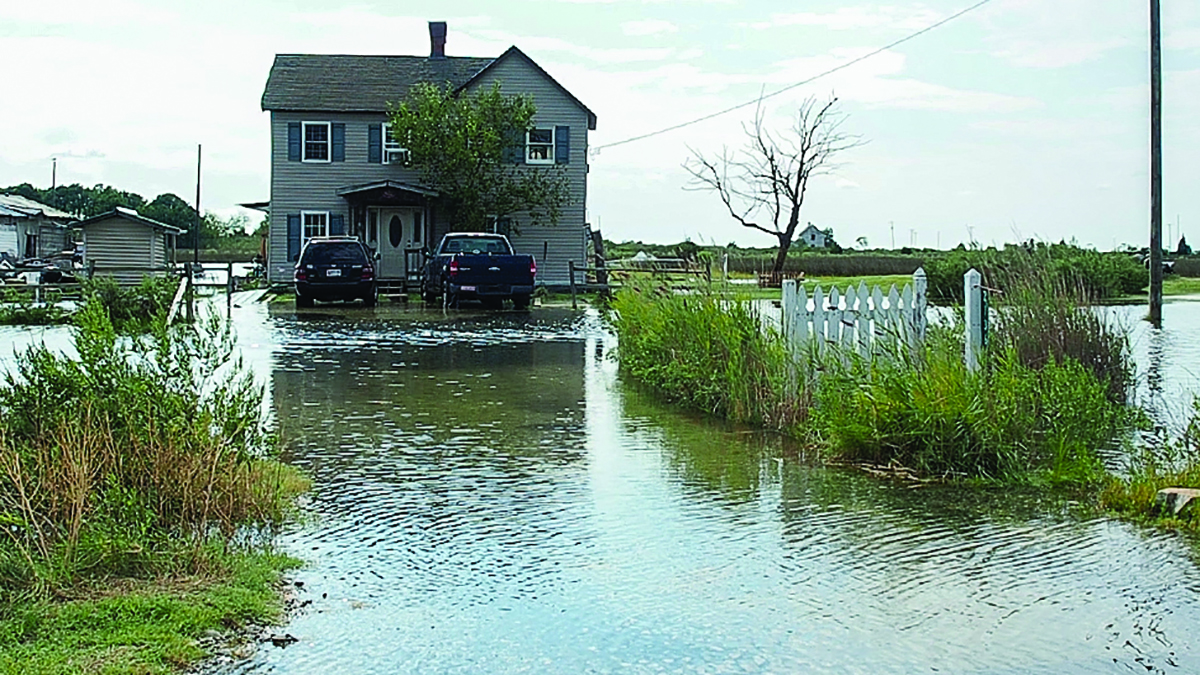 Increasingly frequent tidal flooding comes to the doorstep of a home on low-lying Hoopers Island, Md., on the eastern shore of the Chesapeake Bay. (Bay Journal photo by Dave Harp)