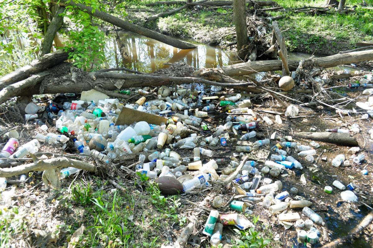 Cancellations and postponements of spring stream cleanups are among the many impacts the coronavirus is having on environmental stewardship activities in the Chesapeake Bay watershed. (Whitney Pipkin)