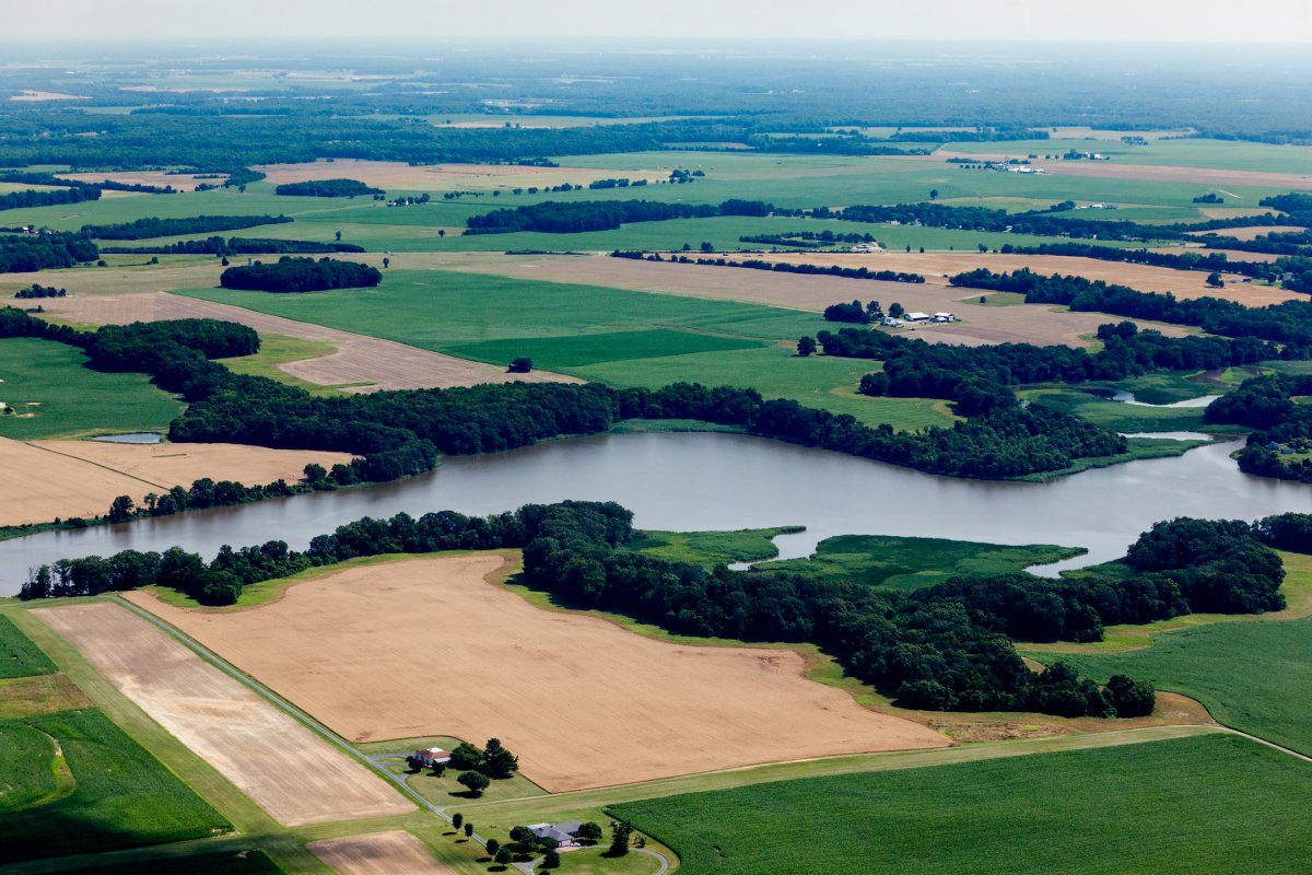 An aerial view of Southeast Creek, a tributary of the Chester River, is surrounded by farmland in Queen Anne's County, Md., (Photo by Will Parson/Chesapeake Bay Program)